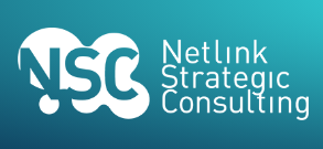 Netlink Strategic Consulting logo